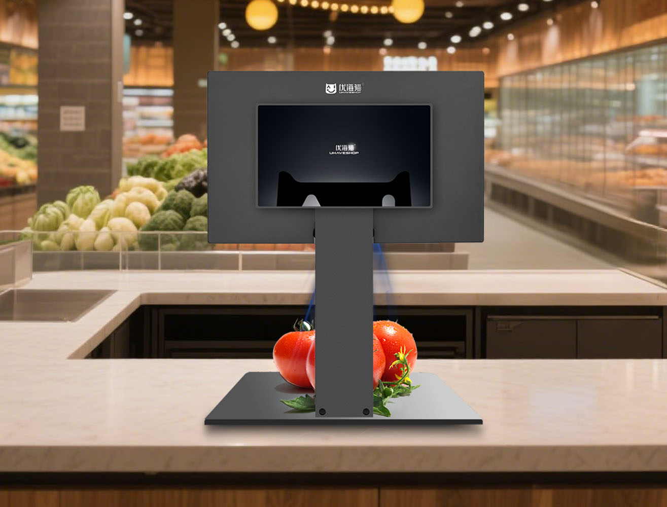 Dual Screen Stand POS machine